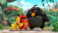 ANGRY BIRDS