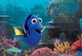 /album/mira-nuestros-titulos/willem-dafoe-estara-en-buscando-a-dory-2-jpg1/